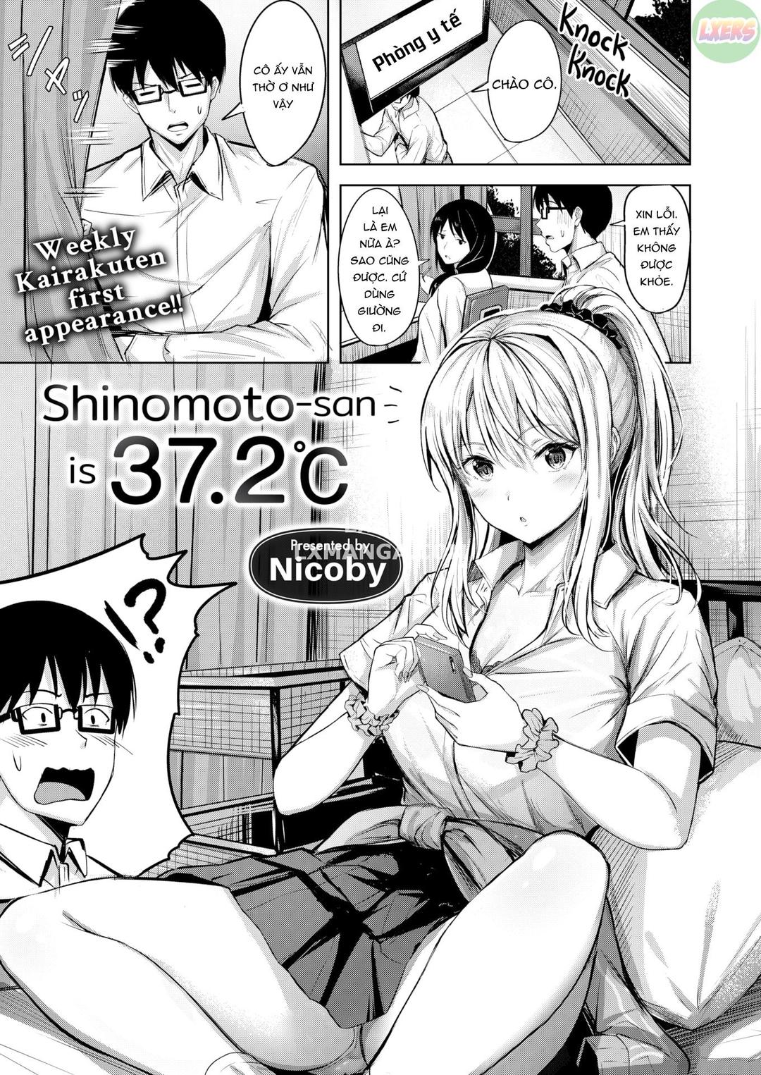 Shinomoto 37 độ 2